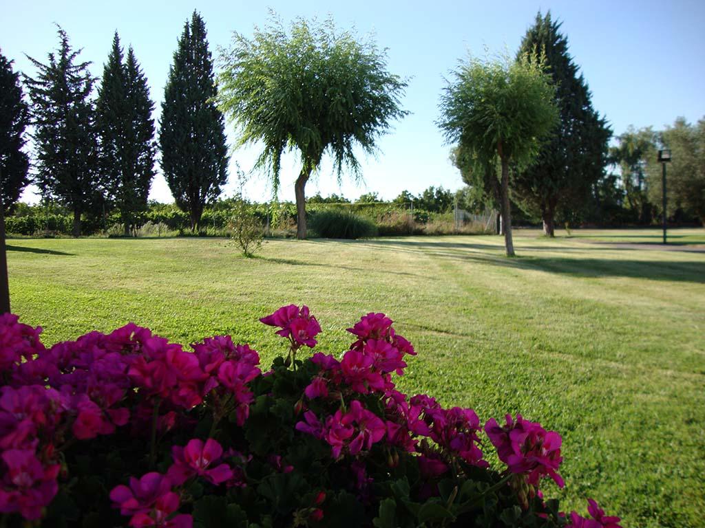 Hotel San Camilo Navarrete Exterior photo