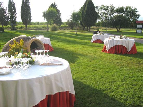 Hotel San Camilo Navarrete Facilities photo